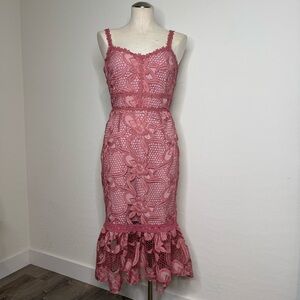 NWT Pink Lace Midi Dress